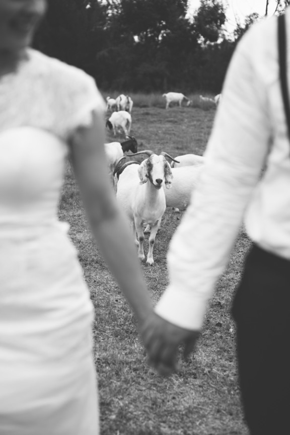 sydney-polo-club-wedding-willow-co-photography_005