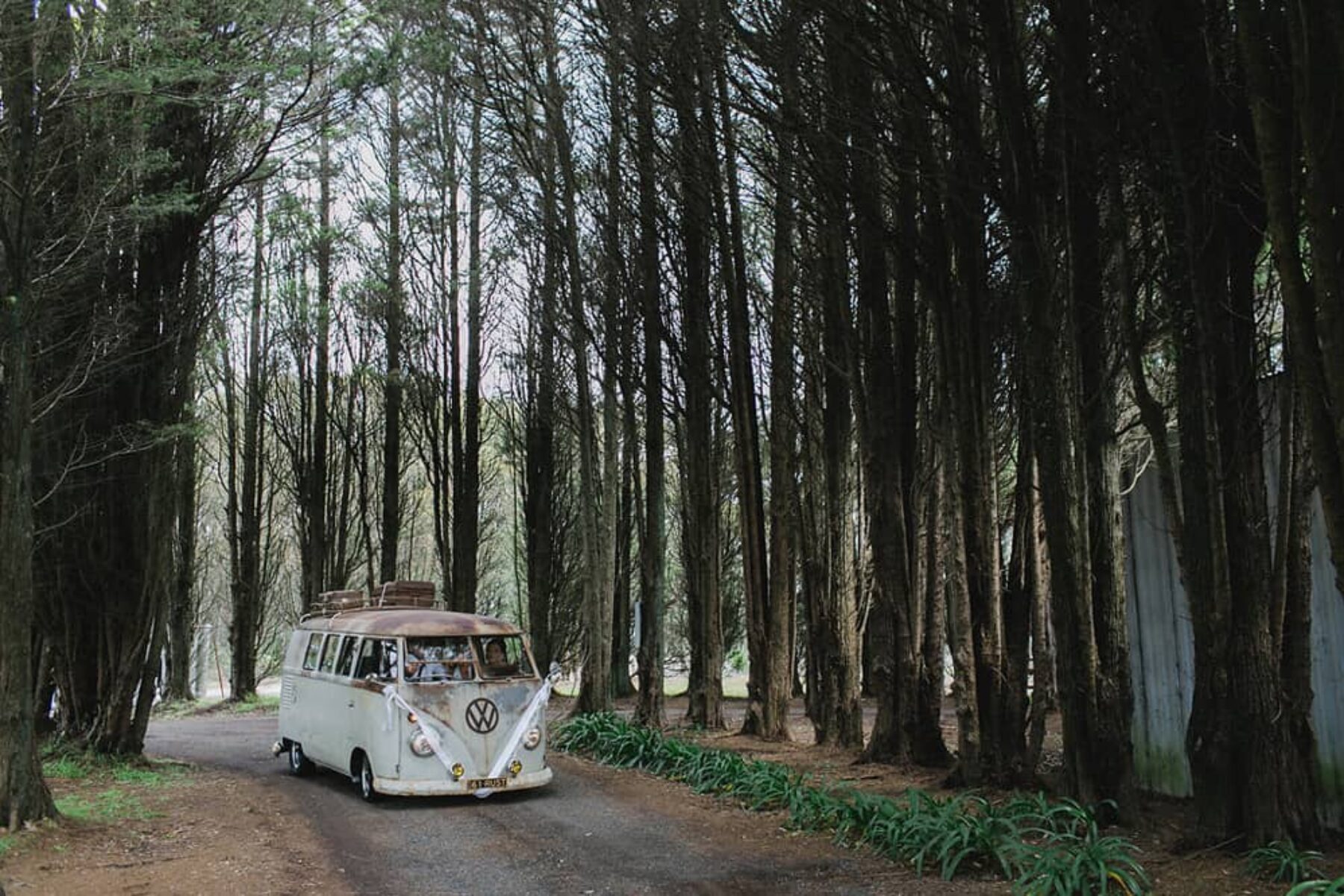 Non-traditional Darkes Forest wedding | Photography by John Benavente