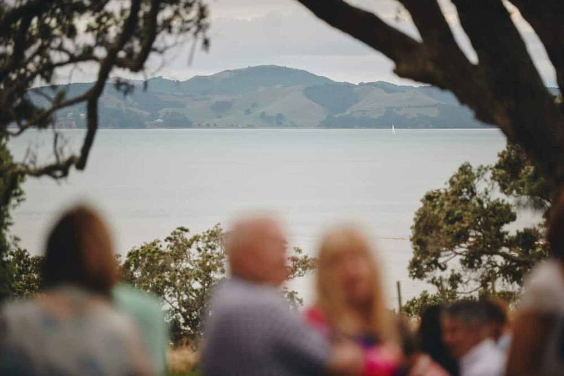 Relaxed picnic wedding, Aukland | Photography by A Couple of Night Owls