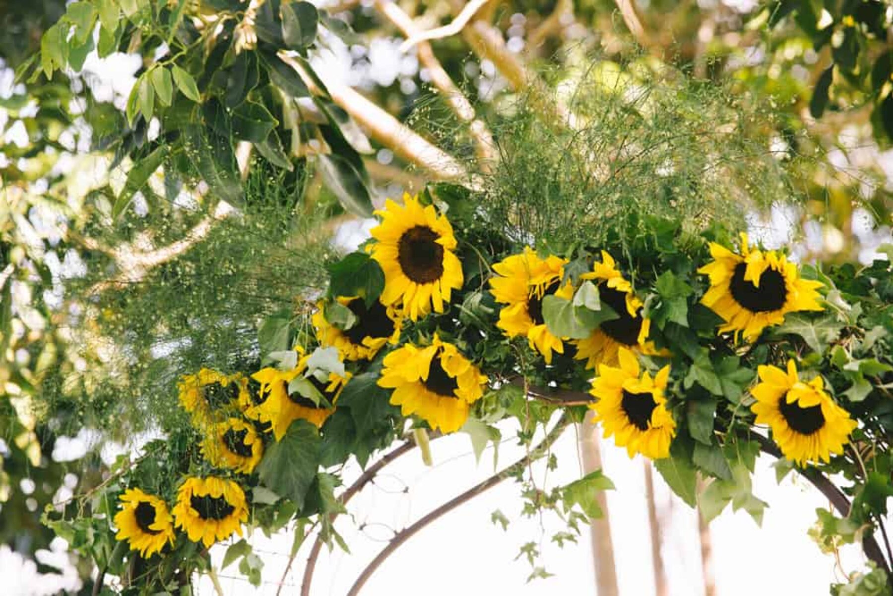 Sunflower wedding arch