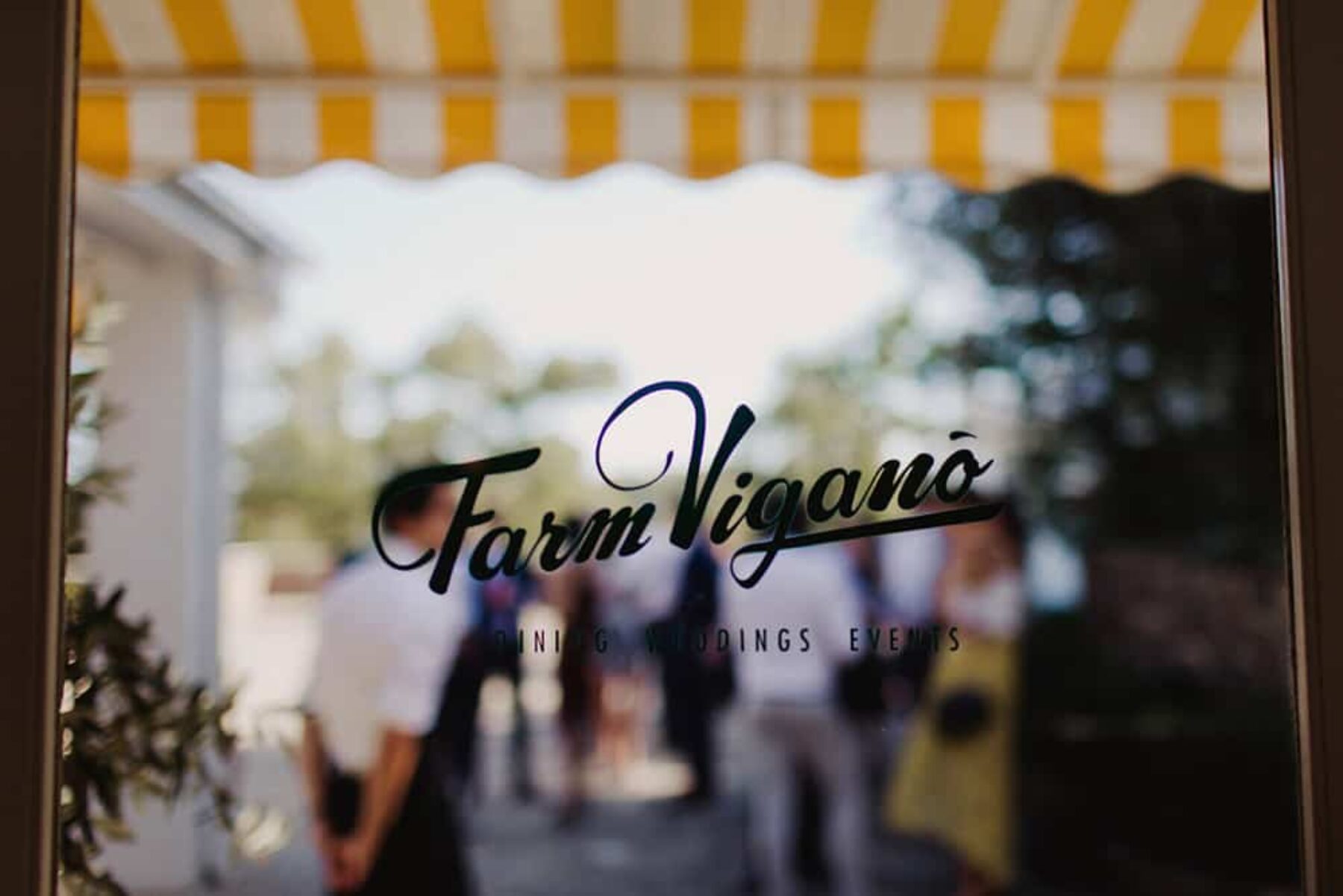 Farm Vigano wedding