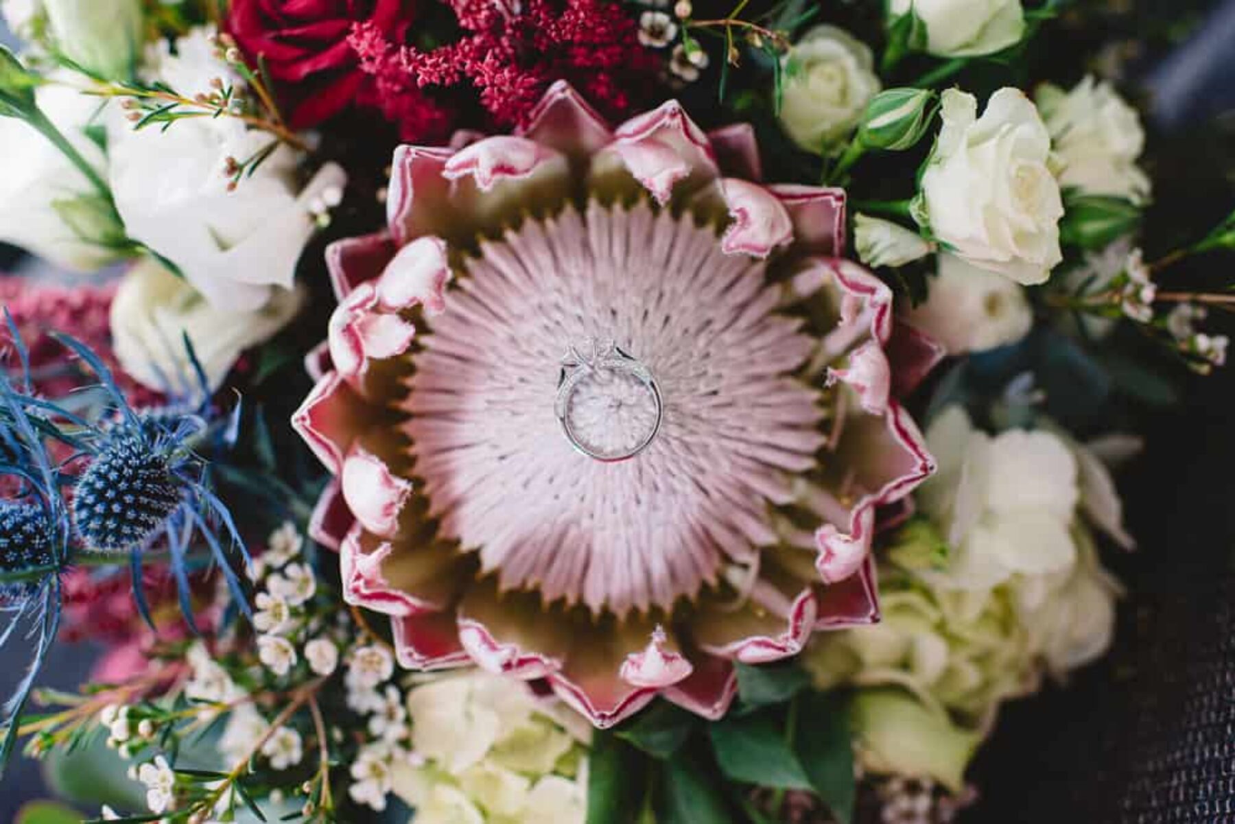 protea with engagement ring