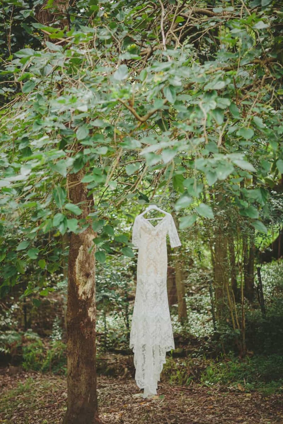 lace wedding dress hanging in tree