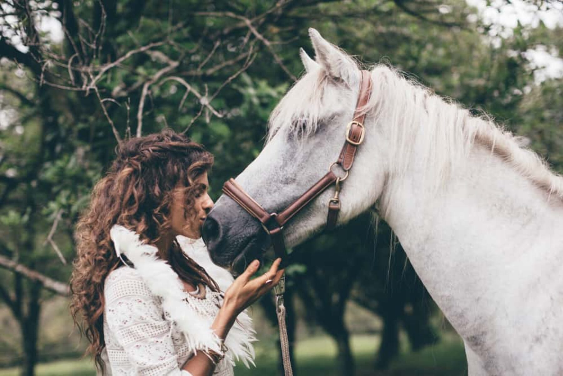 boho bride with white horse