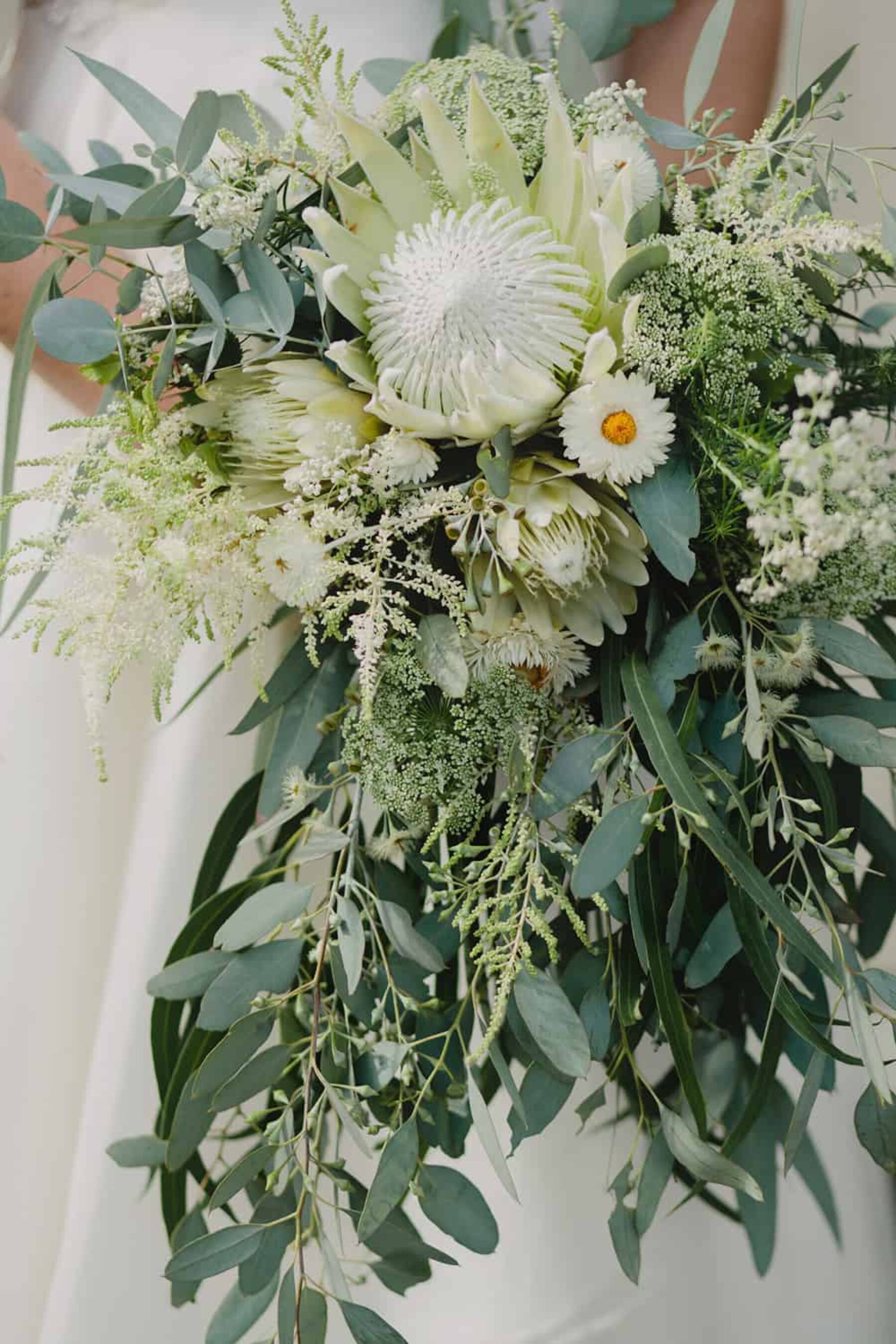 native wedding bouuet of king protea and eucalyptus