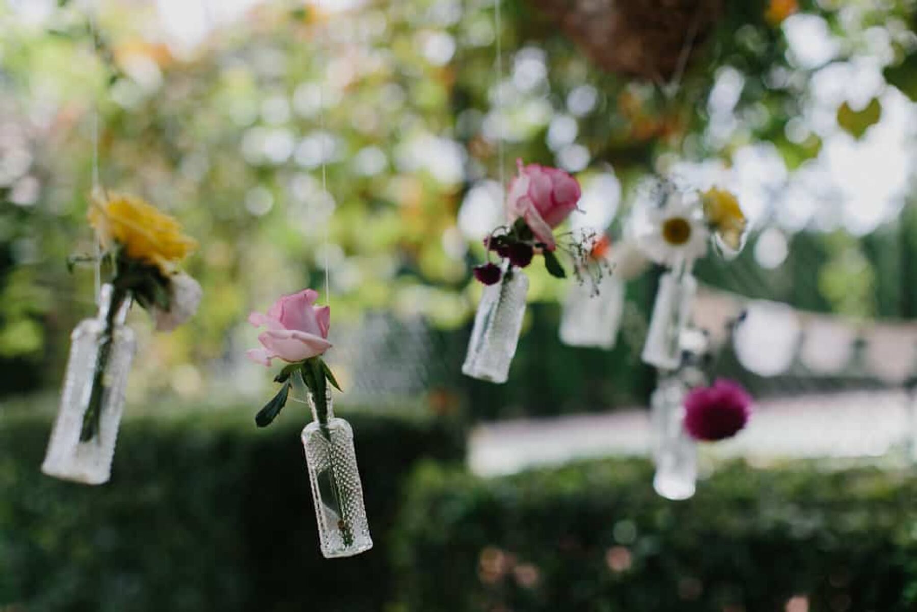 hanging flowers in bottles
