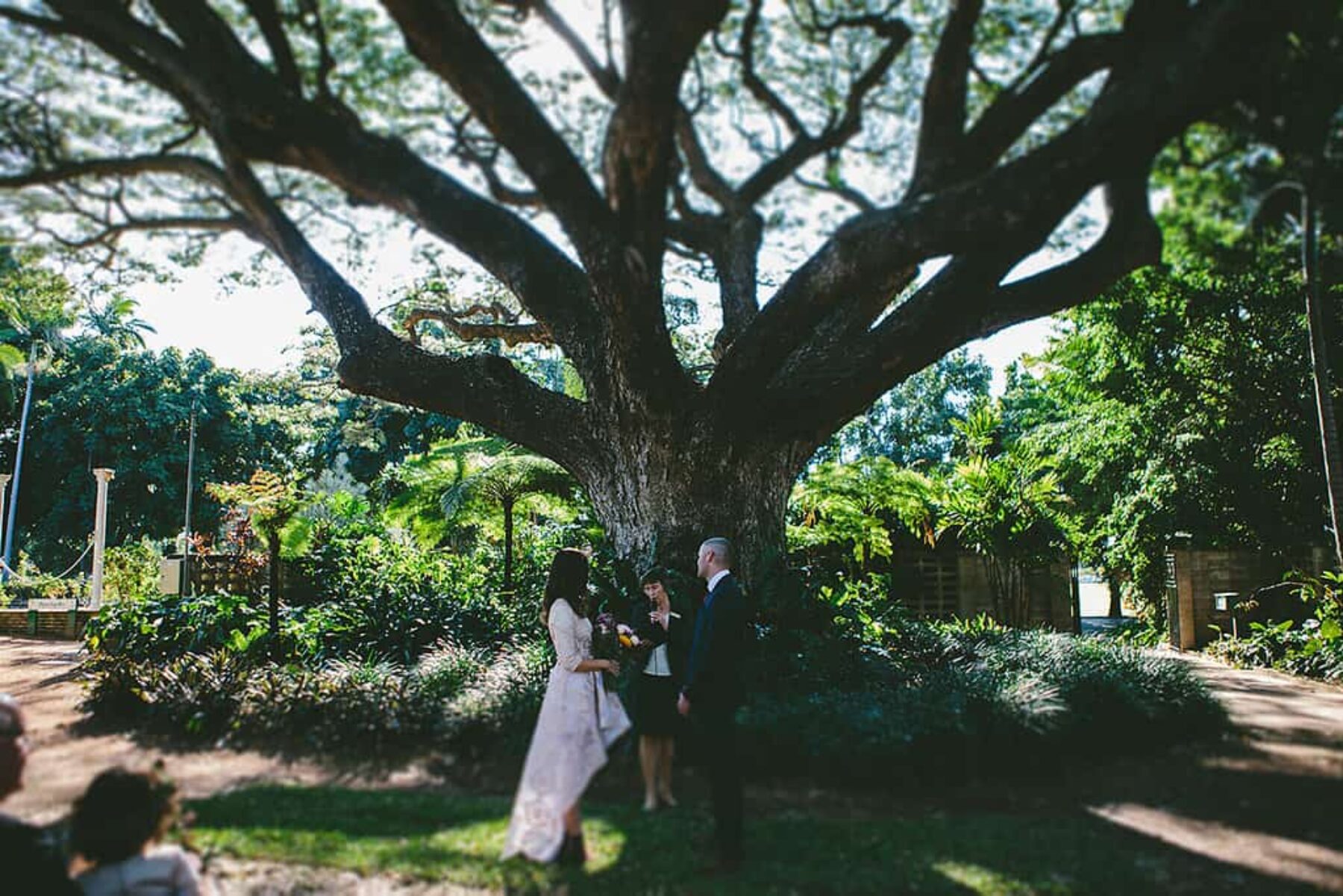 Botanical Townsville wedding in Queens Gardens