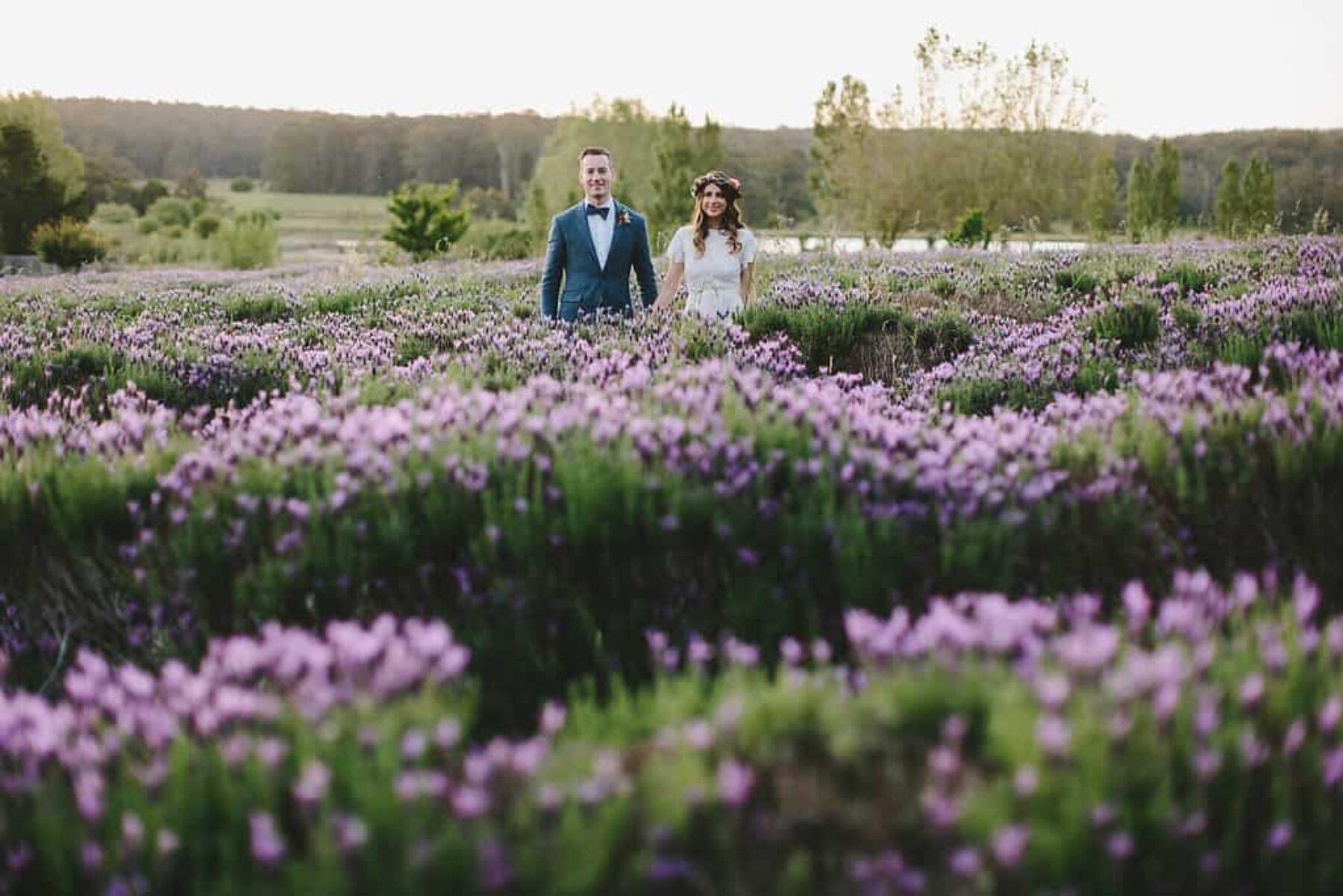 bride and groom in lavender field at Sault Daylesford