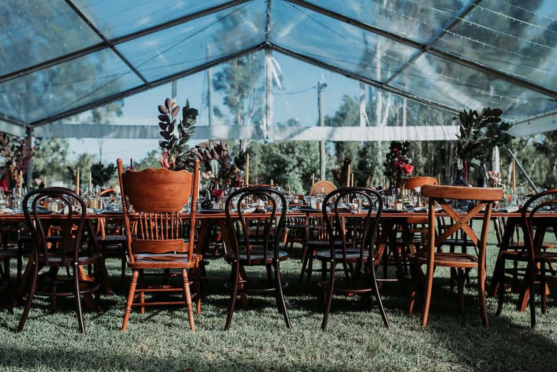 stylish backyard wedding with glasshouse marquee