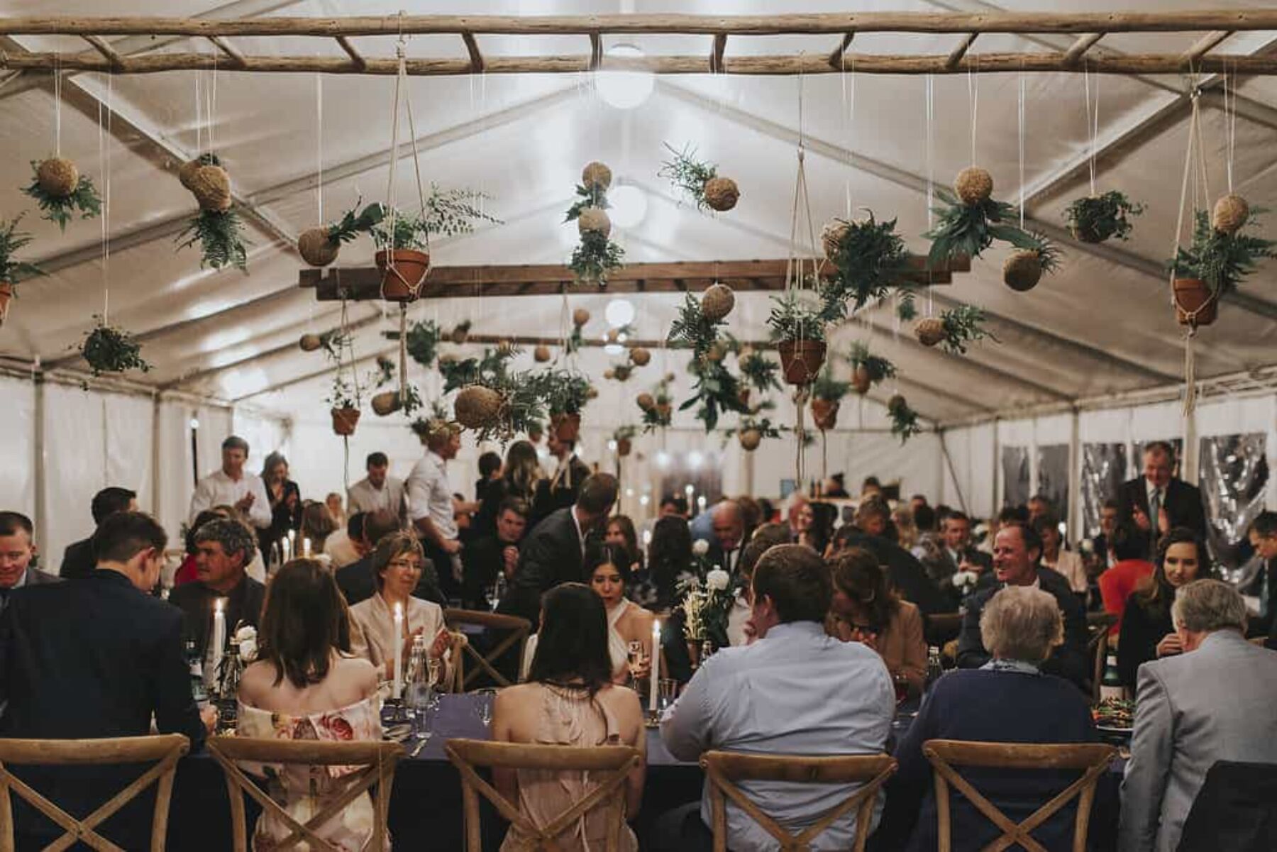 marquee wedding with hanging plants and kokedamas
