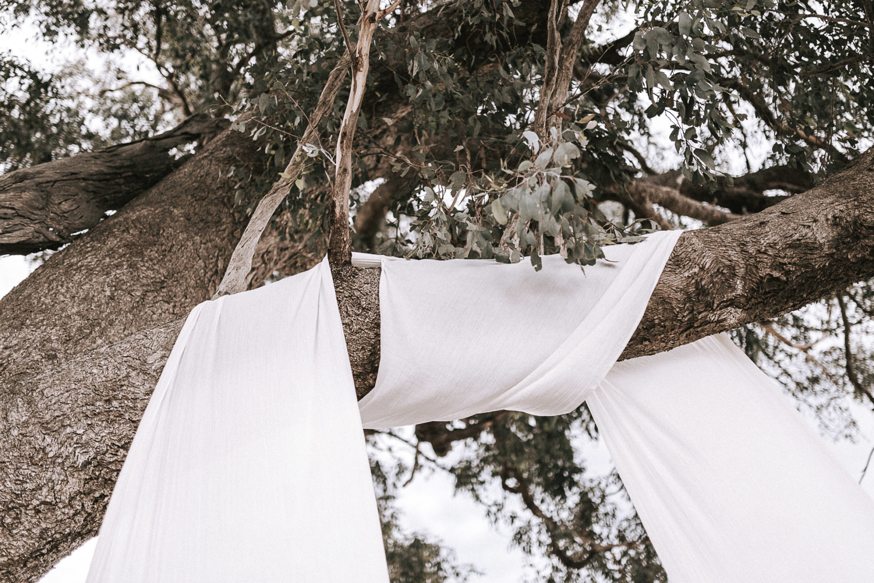 relaxed farm wedding with draped cotton backdrop