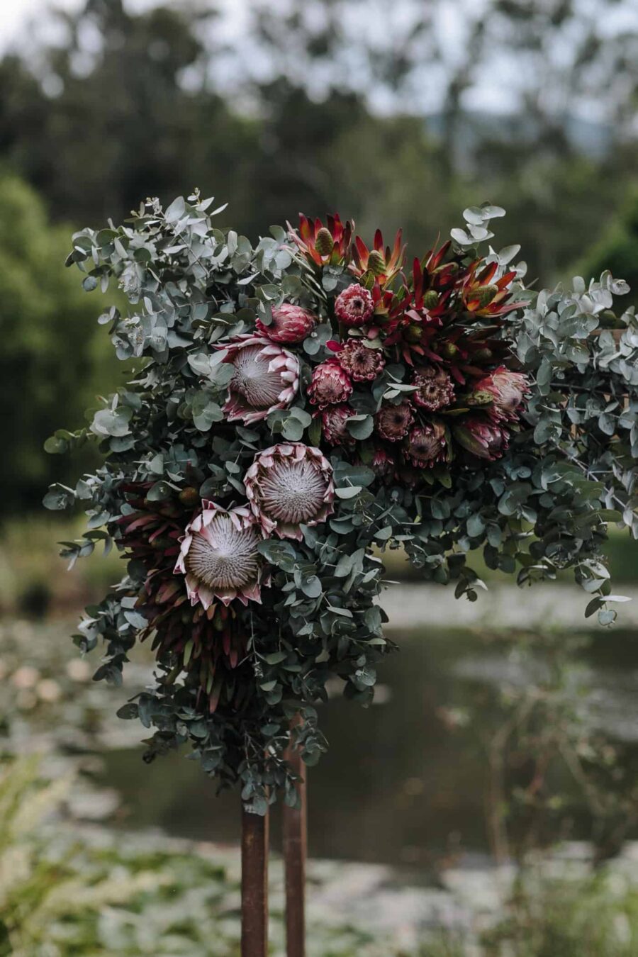 floral wedding arch with proteas