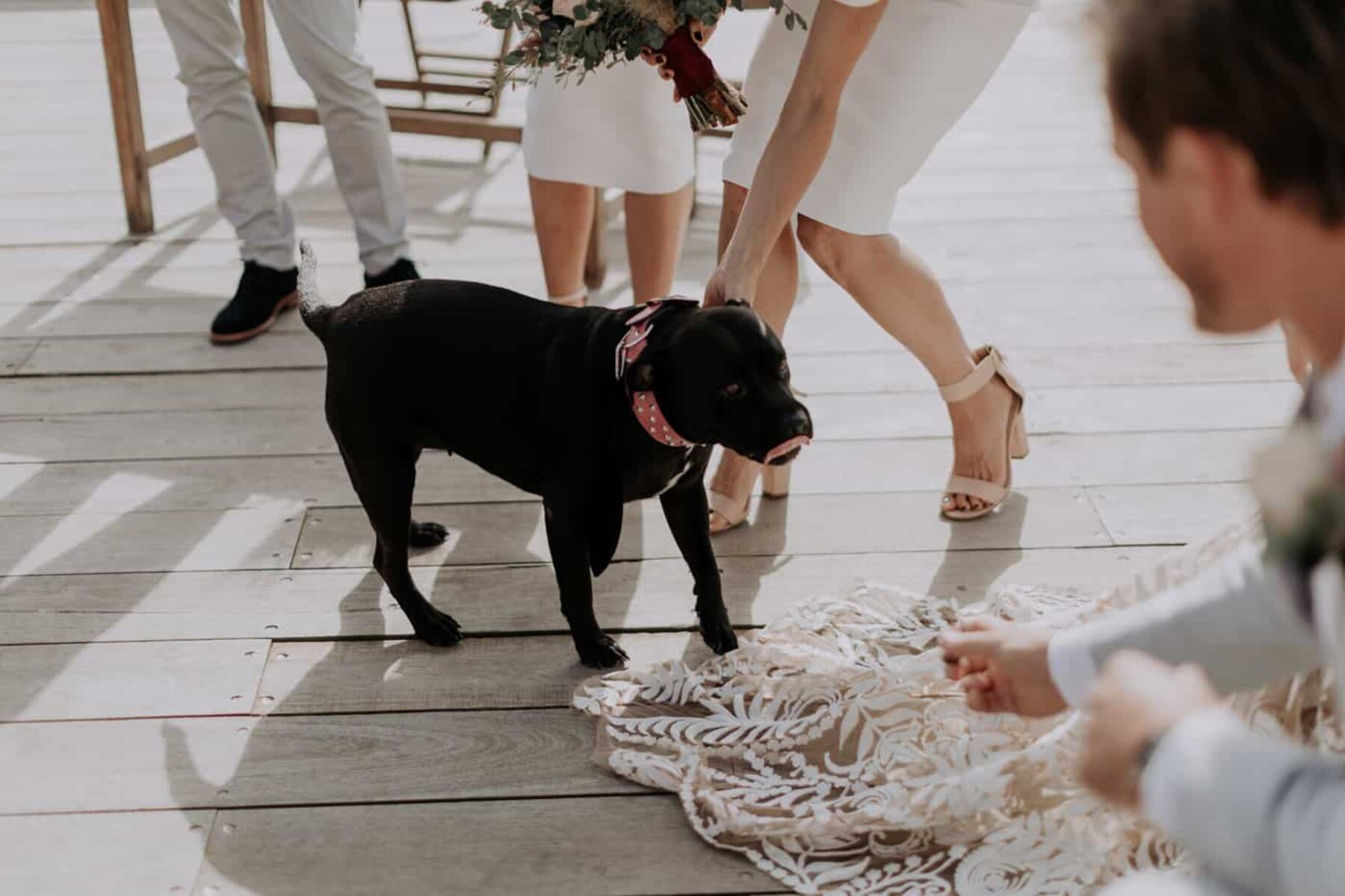 Fremantle wedding at Kidogo Arthouse - photography by Alexandra Cohen