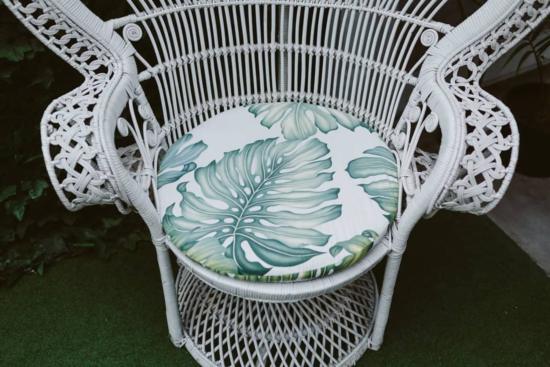 peacock chair with jungle print cushion