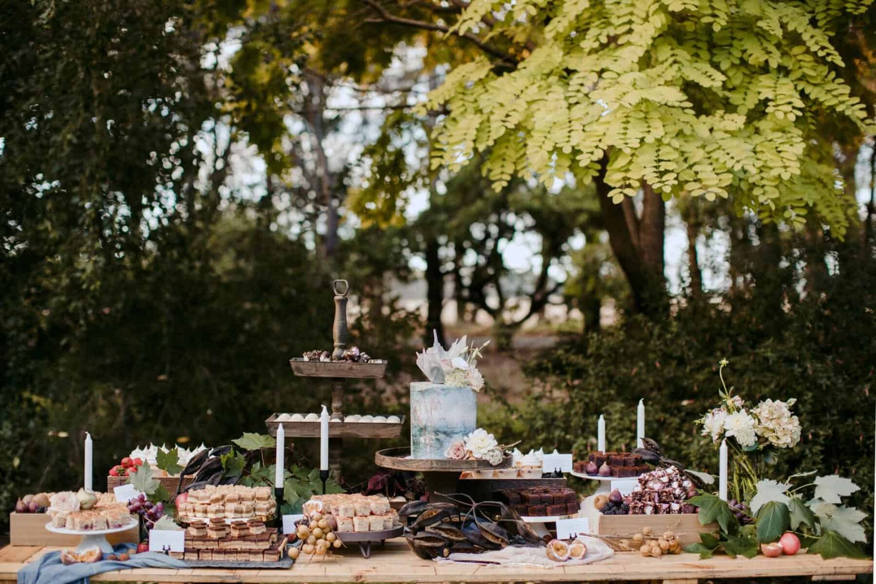 backyard wedding grazing table