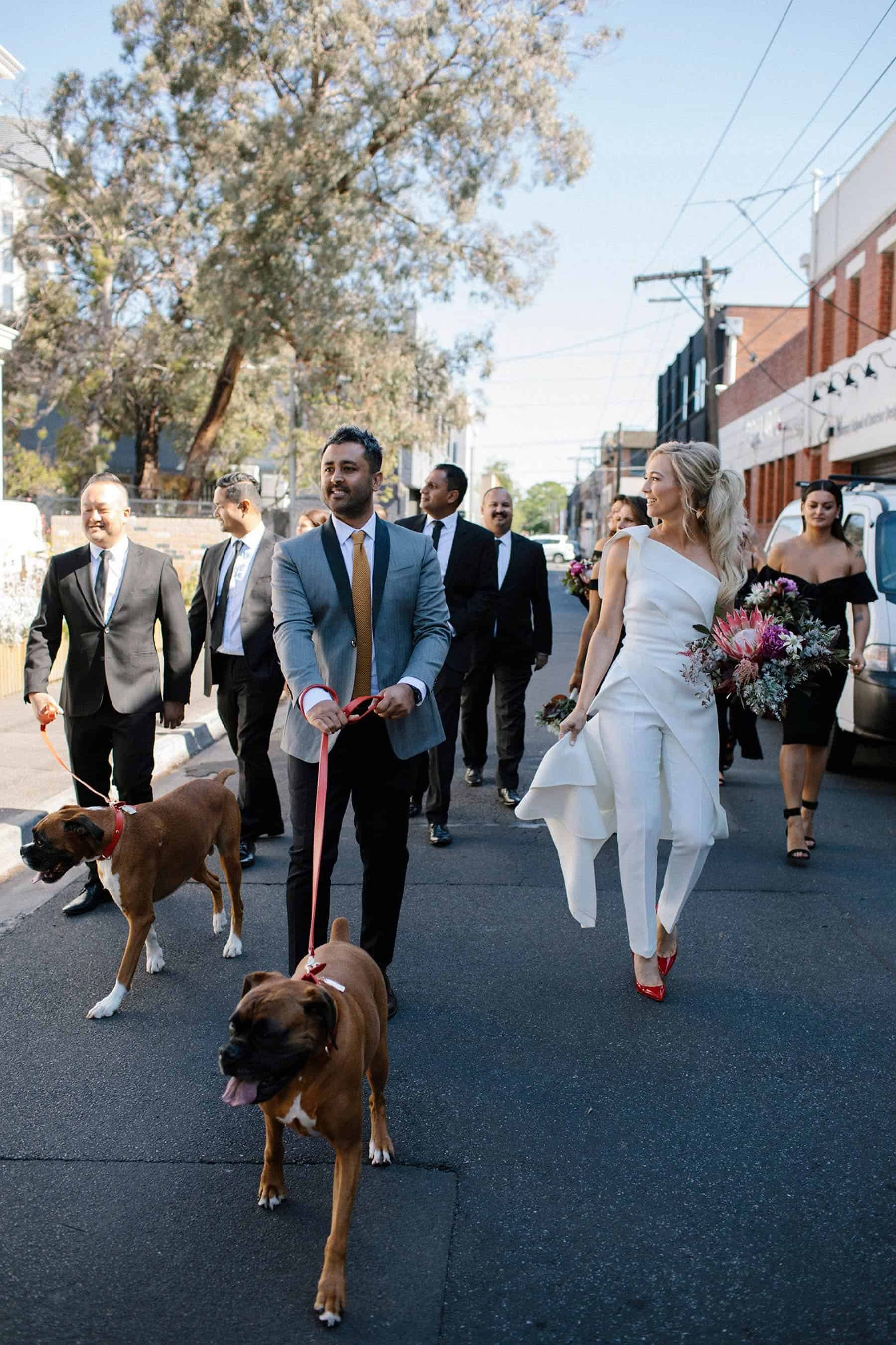 modern bridal party with dogs
