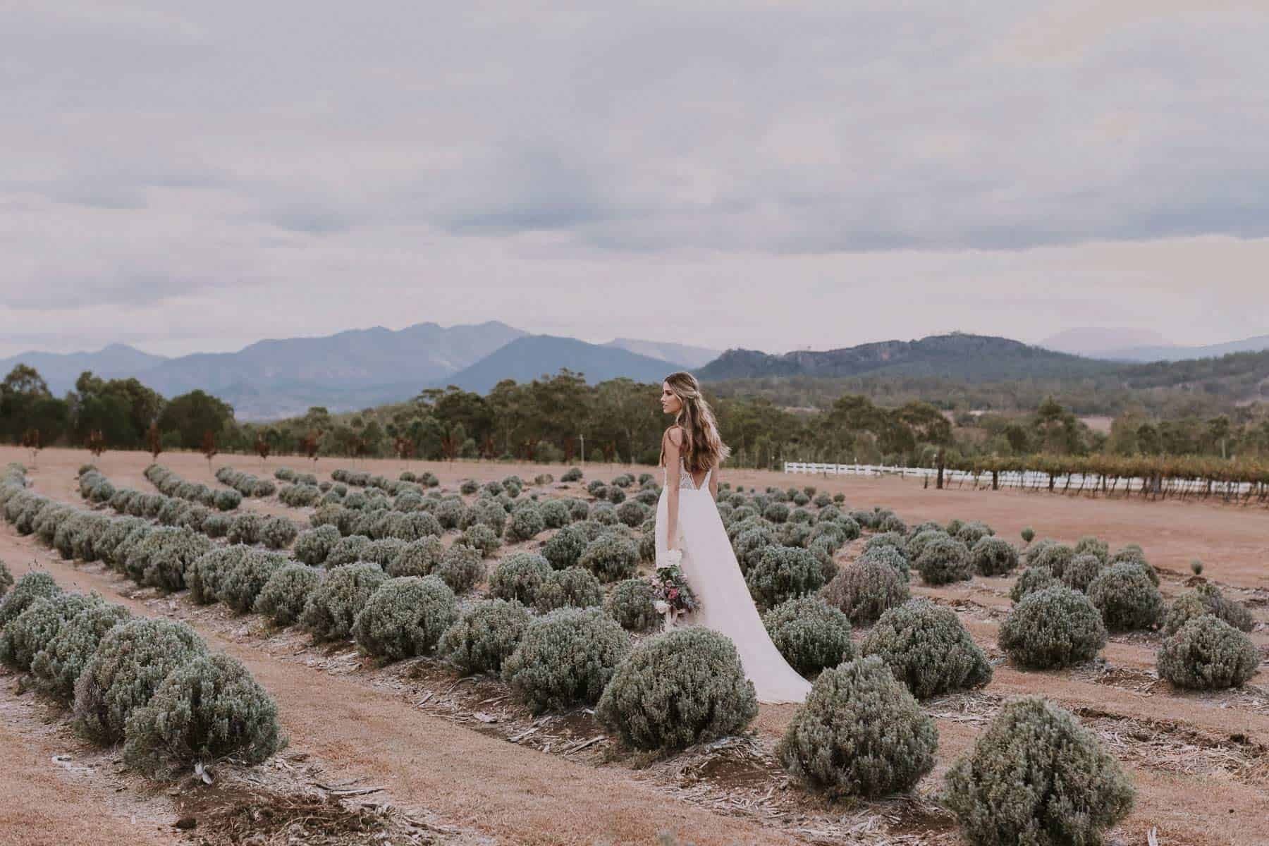 bride in lavender farm