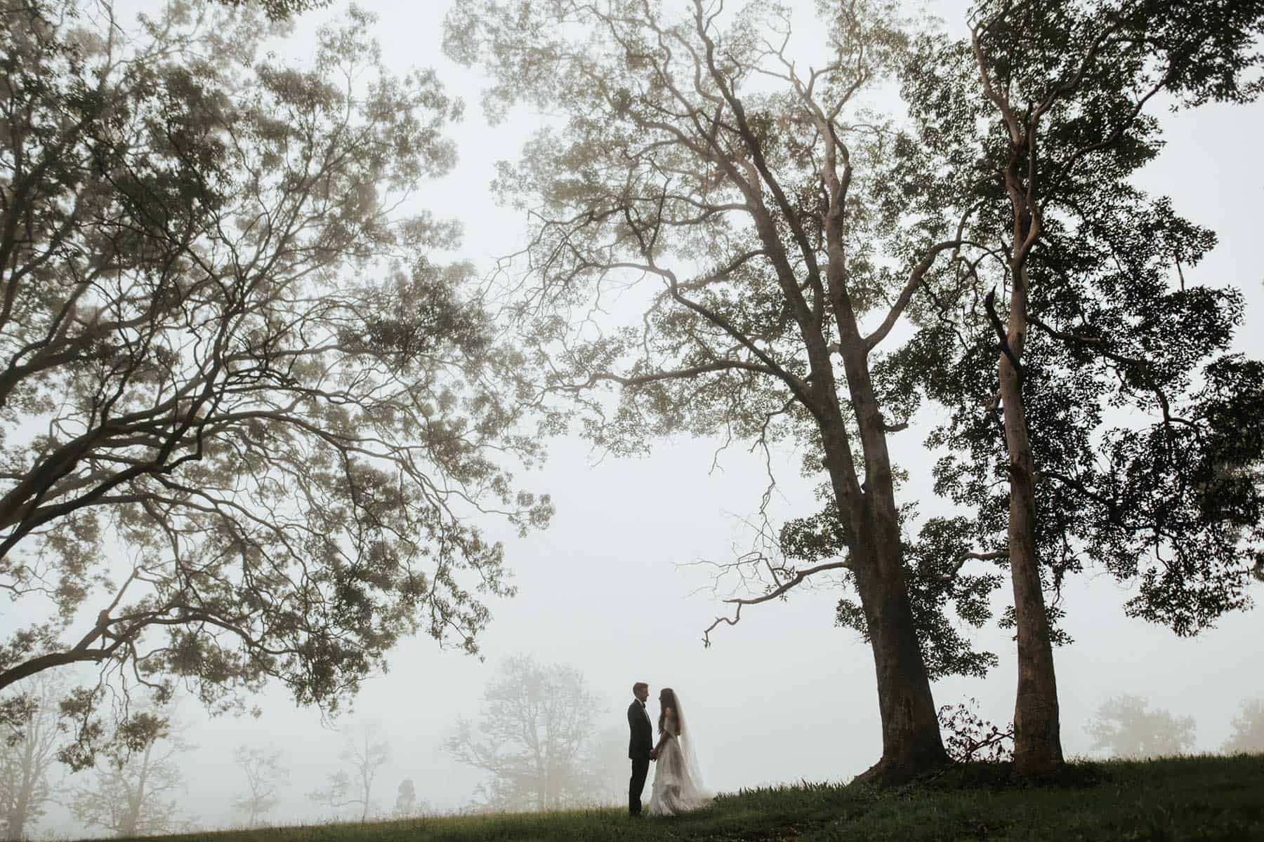 moody classic wedding, Toowoomba / photography by Damien Milan