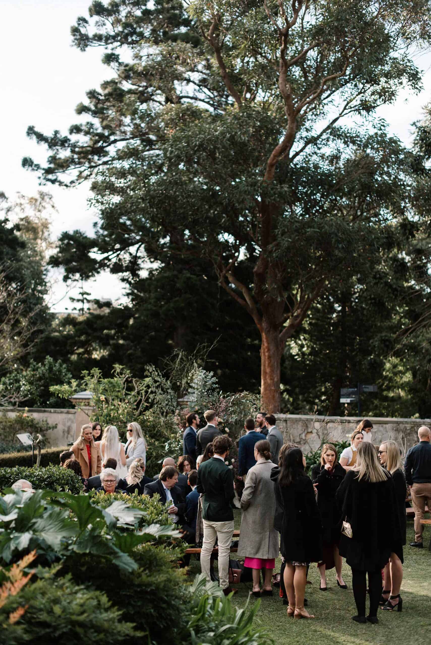 Sydney wedding at Royal Botanic Garden / photography by Damien Milan