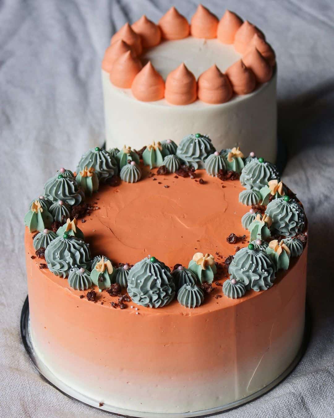Ombre cake with little candy cacti